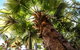 Cool Bananas Backpackers - thumb 14