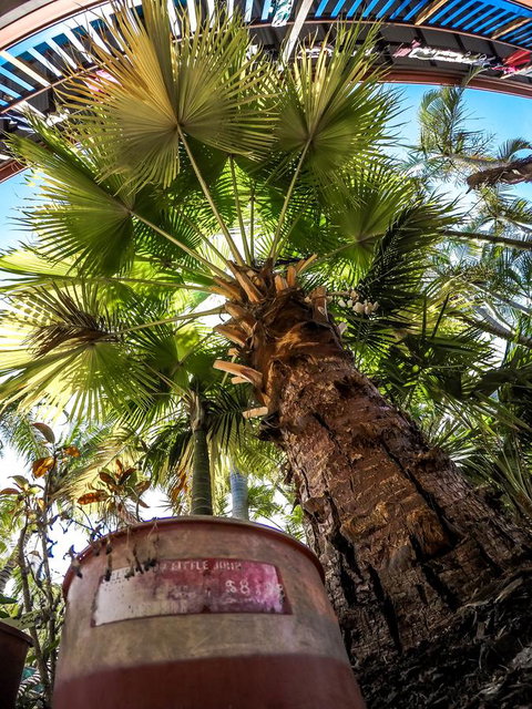 Cool Bananas Backpackers - Tourism Caloundra 14