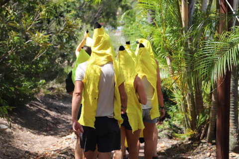 Cool Bananas Backpackers - Tourism Caloundra 19