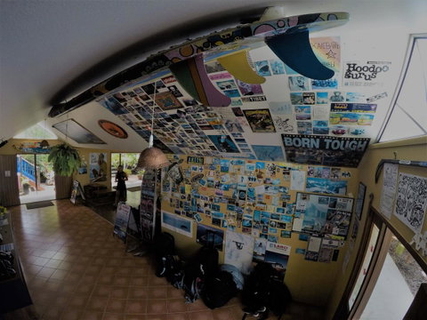 Cool Bananas Backpackers - Tourism Caloundra 31