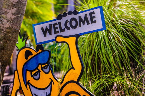 Cool Bananas Backpackers - Tourism Caloundra 37