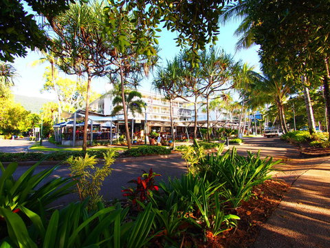 Drift Palm Cove - Tourism Caloundra 8