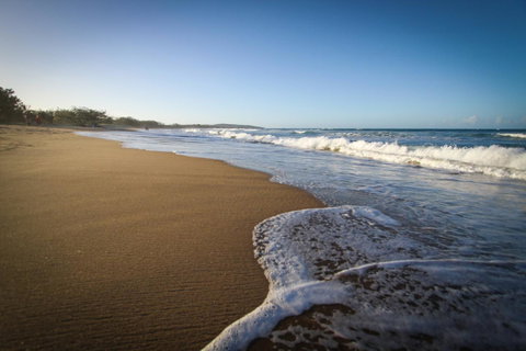 Sandcastles 1770 Motel & Resort - Tourism Caloundra 30