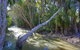 Sandcastles 1770 Motel & Resort - thumb 18