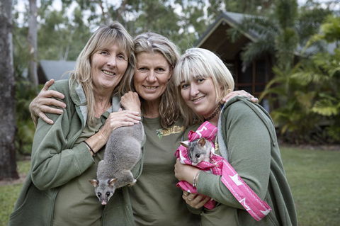 Airlie Beach Eco Cabins - Adults Only - Tourism Caloundra 23