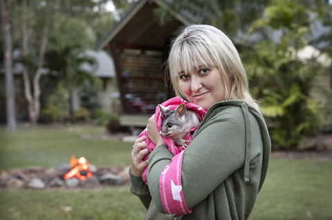 Airlie Beach Eco Cabins - Adults Only - Tourism Caloundra 31