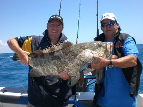Whitsunday Sands Resort - Tourism Caloundra 38