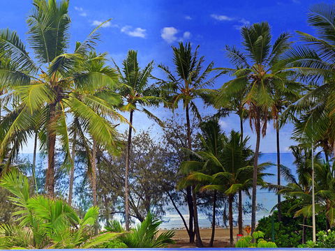 By The Sea Port Douglas - Tourism Caloundra 3