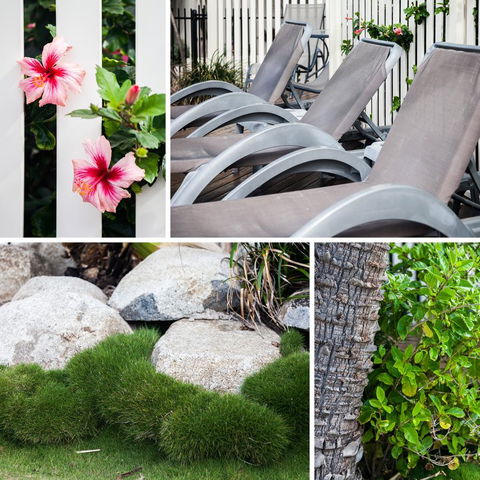 Coolum Caprice - Tourism Caloundra 22