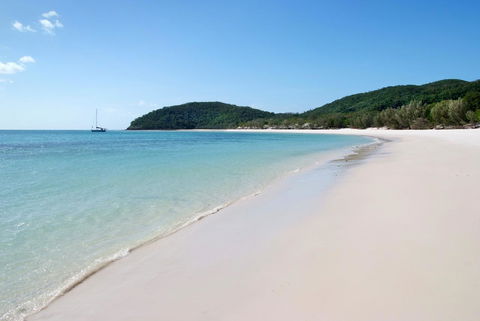 Poinciana 112 - Tourism Caloundra 23