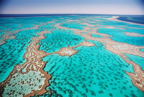 Poinciana 112 - Tourism Caloundra 20