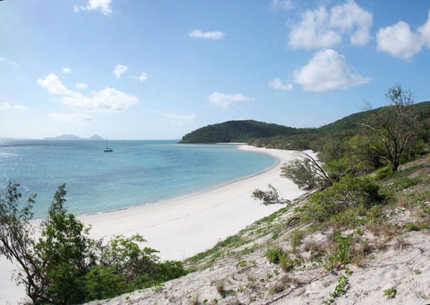 Poinciana 112 - Tourism Caloundra 27