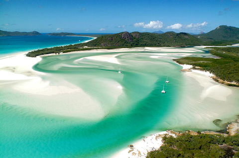 Poinciana 112 - Tourism Caloundra 19