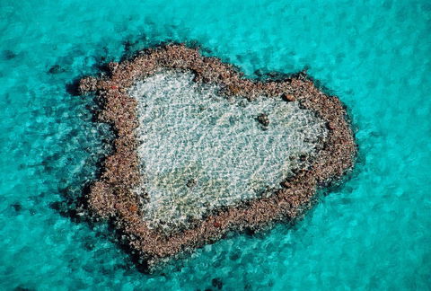 Poinciana 112 - Tourism Caloundra 21