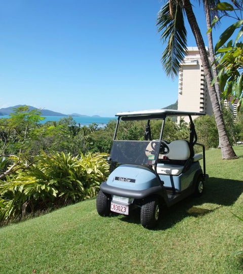 Poinciana 112 - Tourism Caloundra 8