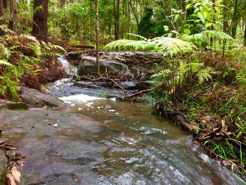 Noosa Hinterland Retreat - Tourism Caloundra 12