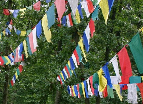 Noosa Hinterland Retreat - Tourism Caloundra 10