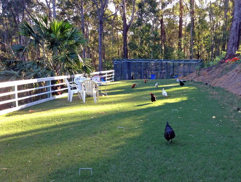 Noosa Hinterland Retreat - Tourism Caloundra 11