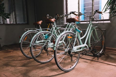 Mad Monkey Central - Tourism Caloundra 25