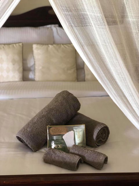 The Bearded Dragon Boutique Hotel - Tourism Caloundra 4