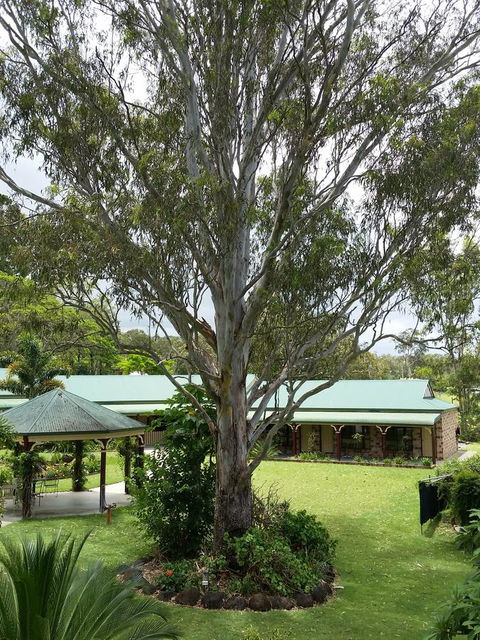 The Bearded Dragon Boutique Hotel - Tourism Caloundra 32