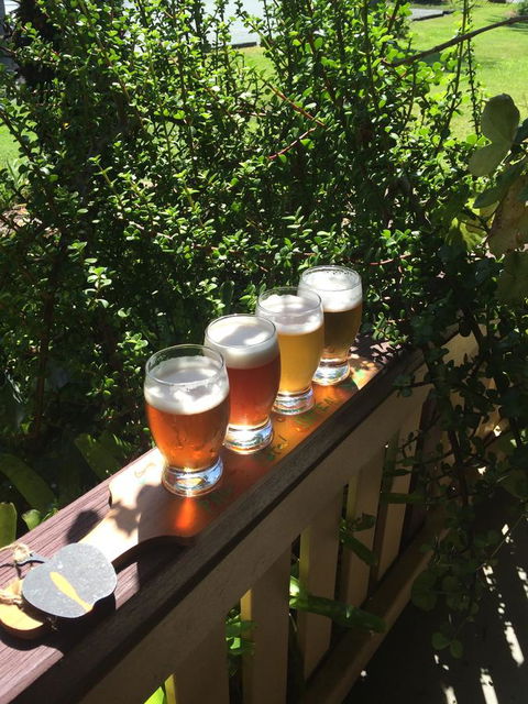 The Bearded Dragon Boutique Hotel - Tourism Caloundra 31