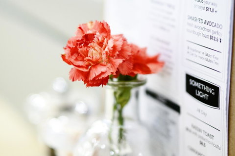 Madison Plaza Townsville - Tourism Caloundra 20