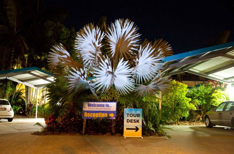 Trinity Beach Pacific - Tourism Caloundra 11