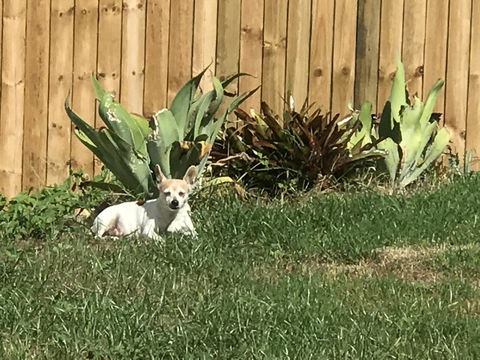 Whitsunday Luxury Homes - Tourism Caloundra 42