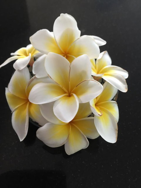 Bella By The Beach - Tourism Caloundra 25