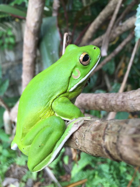 Bella By The Beach - Tourism Caloundra 15