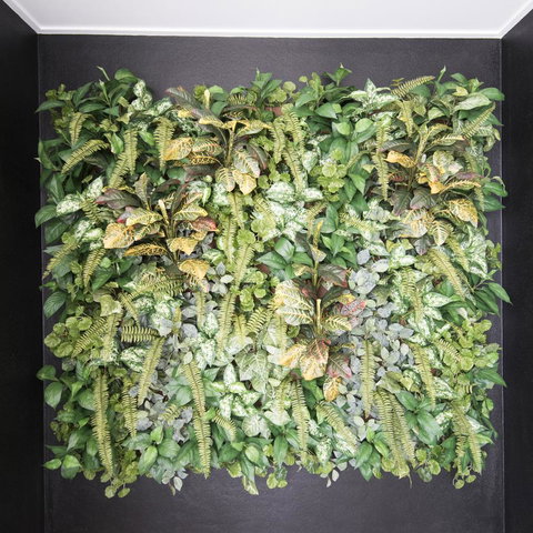 Riviera Mackay - Tourism Caloundra 22