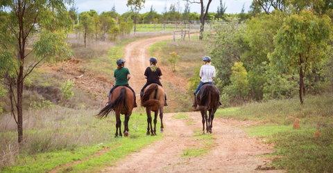 Ironbark House - Tourism Caloundra 22