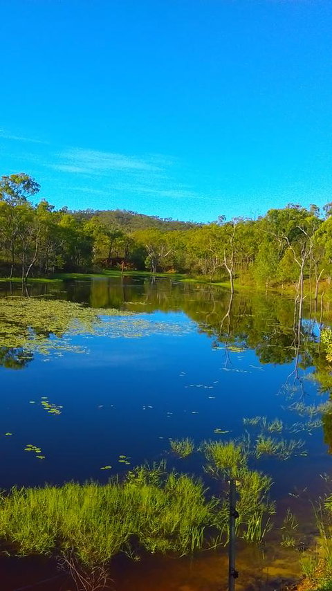 Ironbark House - Tourism Caloundra 21