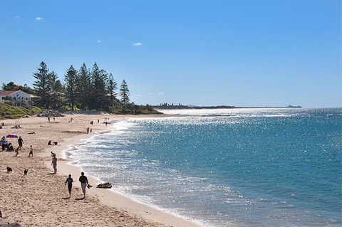 The Norfolks On Moffat Beach - Tourism Caloundra 0