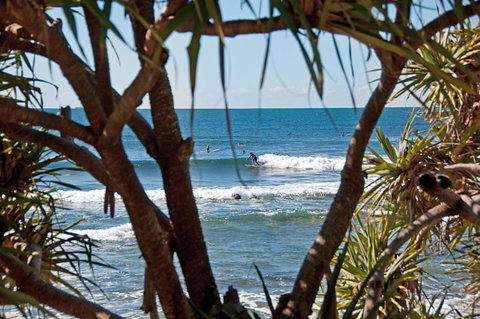 The Norfolks On Moffat Beach - Tourism Caloundra 7