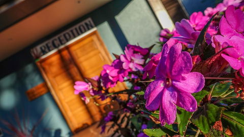 Blue Summit Hideaway - Tourism Caloundra 33