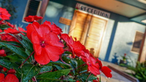 Blue Summit Hideaway - Tourism Caloundra 1