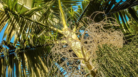 Blue Summit Hideaway - Tourism Caloundra 20