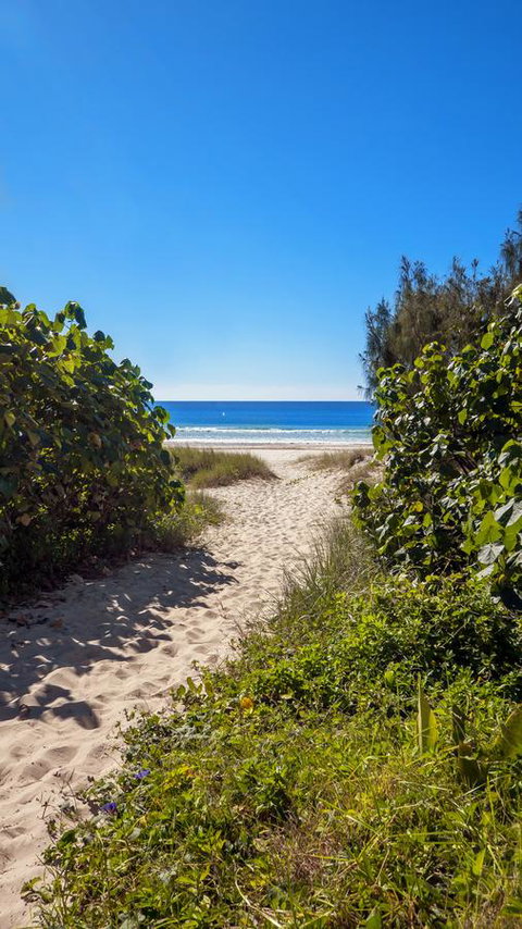 Bilinga Beach Motel - Tourism Caloundra 26