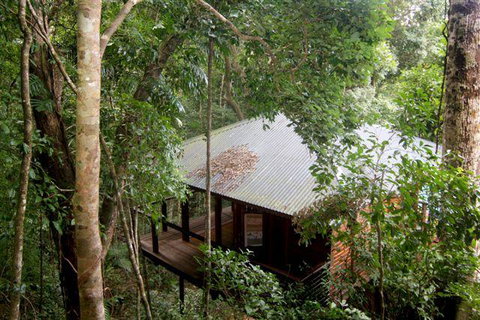Cairns Rainforest Retreat - Tourism Caloundra 0