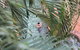 Coral Tree Inn - thumb 36