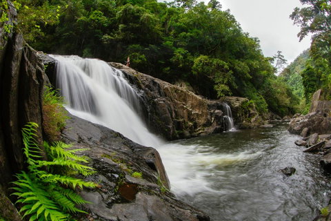 Coral Tree Inn - Tourism Caloundra 40