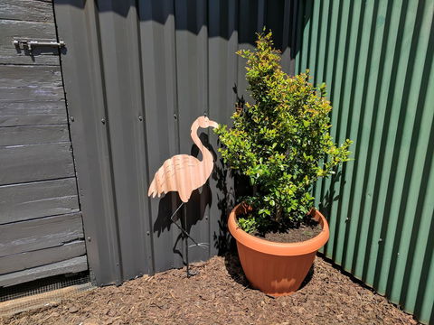 Lilly Pilly House - Tourism Caloundra 10