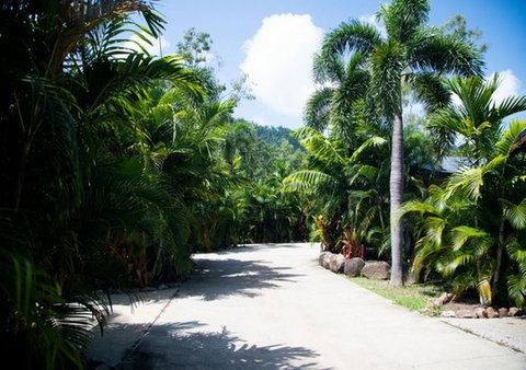 NRMA Airlie Beach Holiday Park - Tourism Caloundra 17