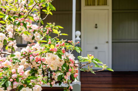 Apple Blossom Cottages - Tourism Caloundra 2
