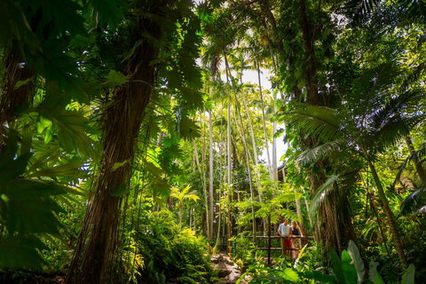 Cairns Colonial Club Resort - Tourism Caloundra 22