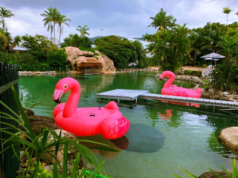 Cairns Colonial Club Resort - Tourism Caloundra 6