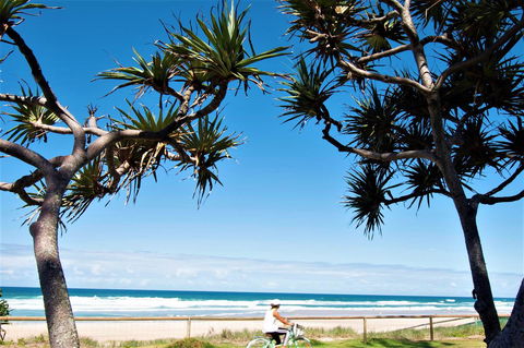 Grande Florida Beachside Resort - Tourism Caloundra 34