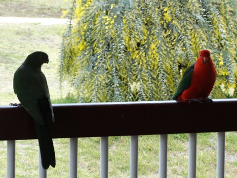 Loughmore House - Tourism Caloundra 9